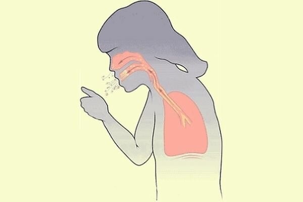 Картинка взята с просторов интернета 