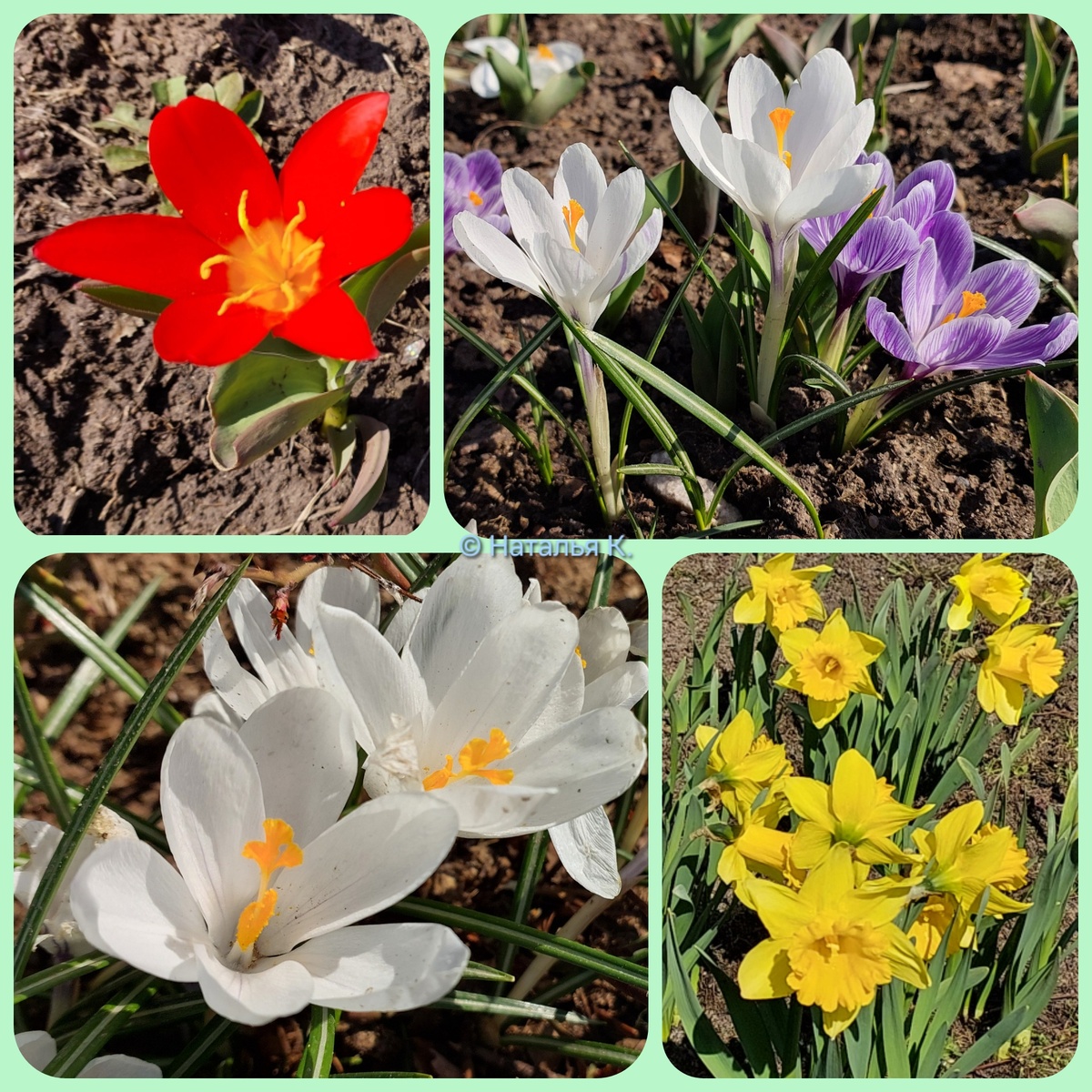 Фото автора канала