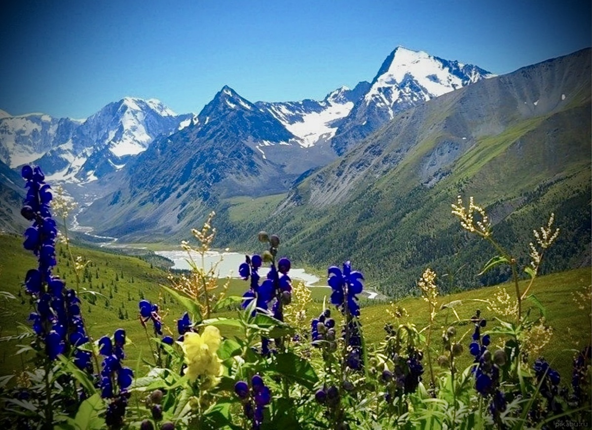 *Фото взято из свободных источников в Интернете