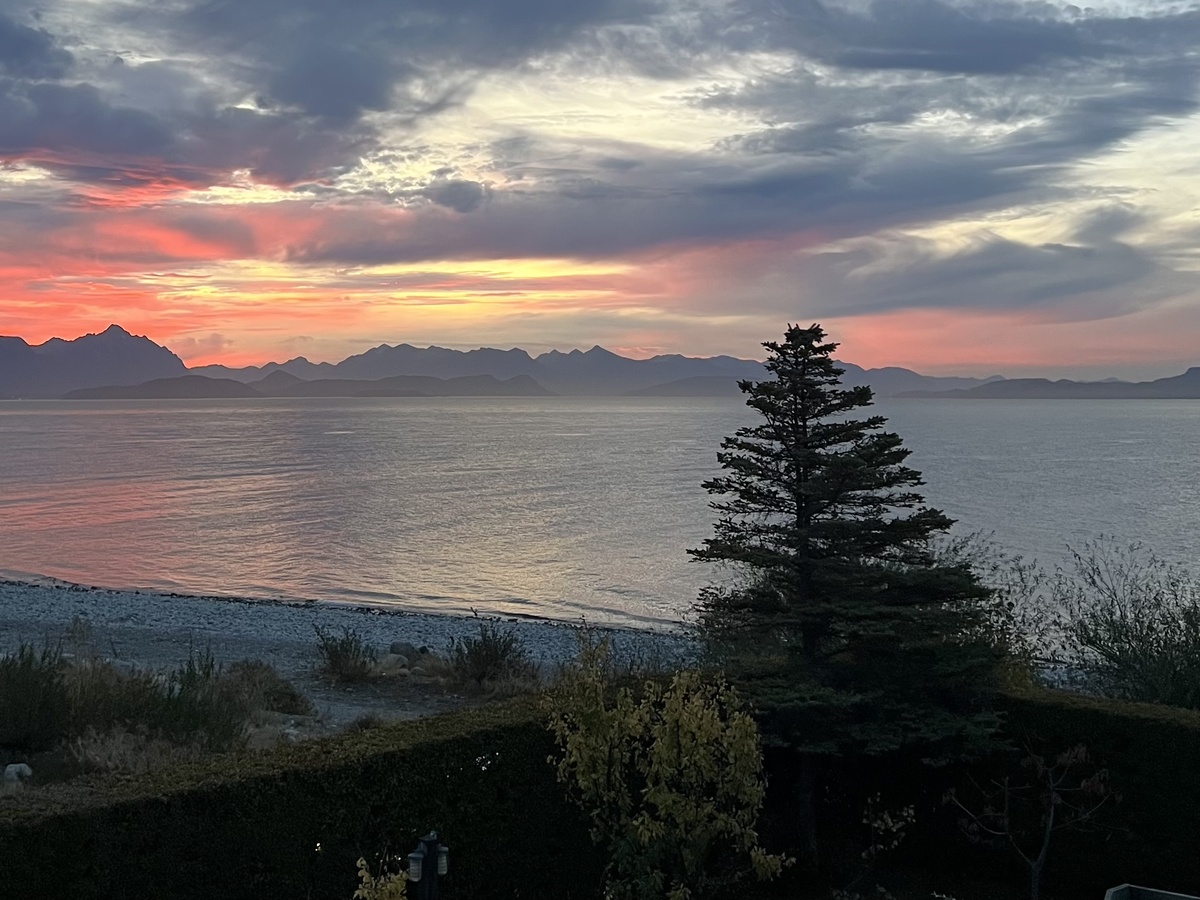 Наблюдая за природой тоже можно заметить изменения в своем внутреннем состоянии 