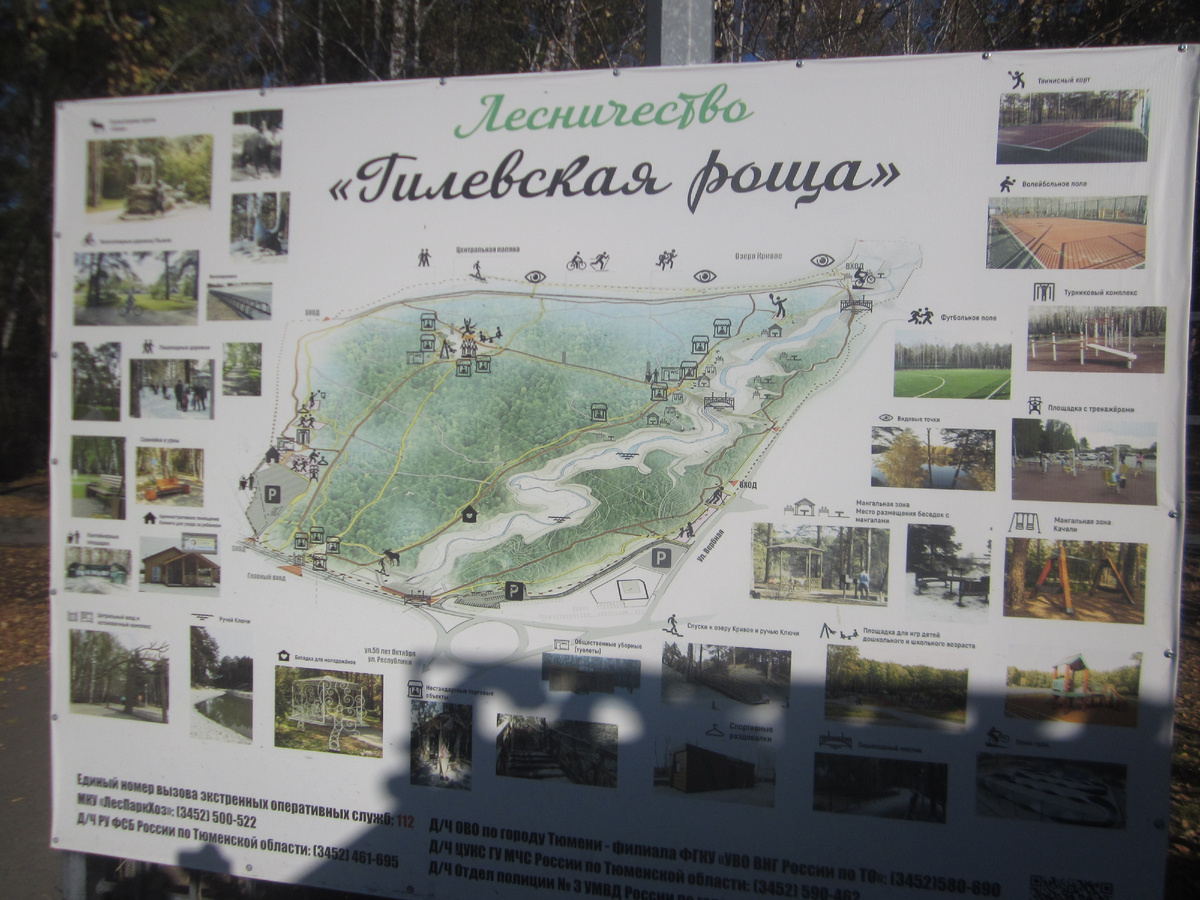 Схема в Тюмени, мое фото