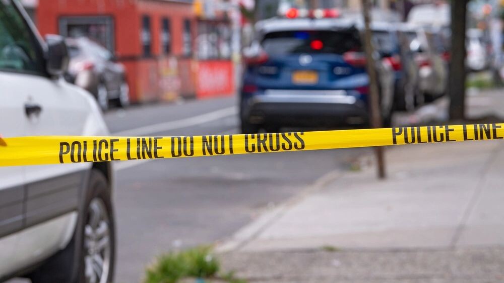    Фото: Ron Adar/Shutterstock/Fotodom