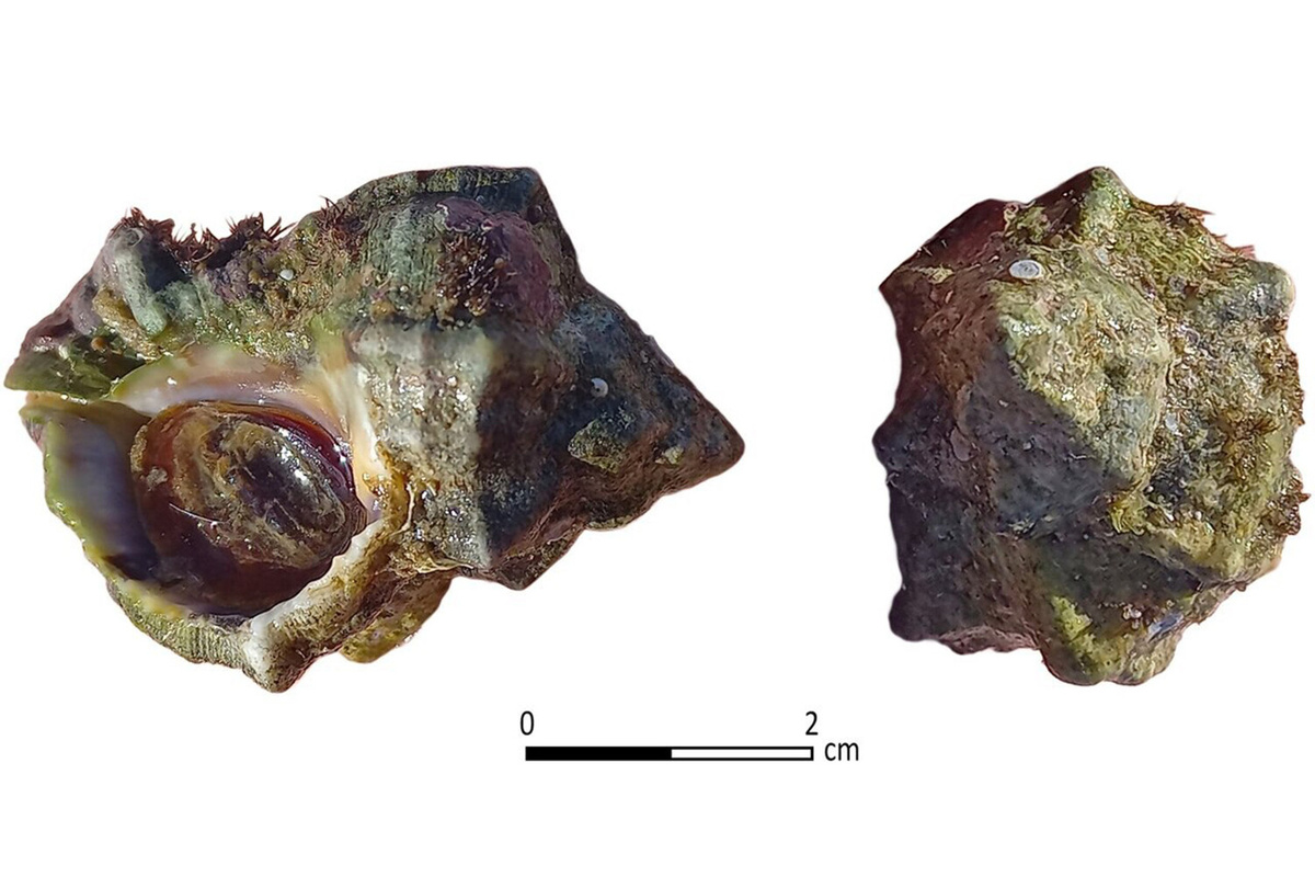    Фото: gazeta.ru Георгий