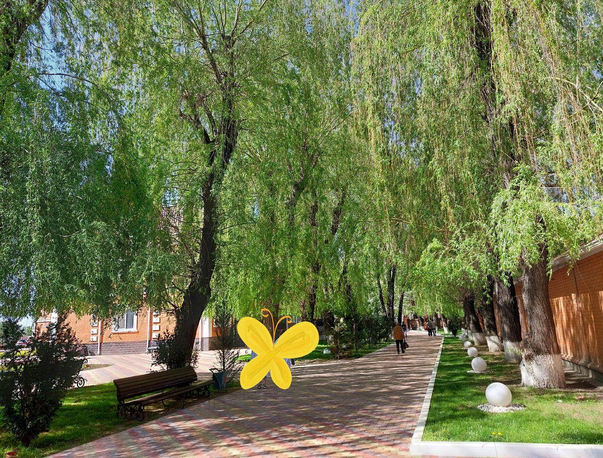 Фото автора