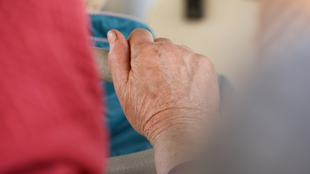    Фото: Belkin Alexey/Globallookpress