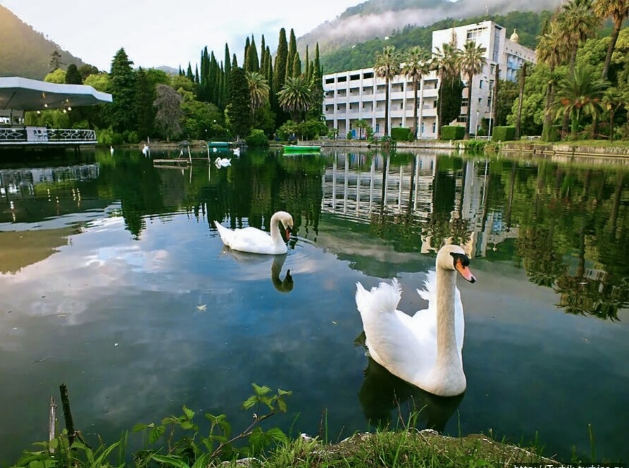 Из открытых источников в интернете. Абхазия.