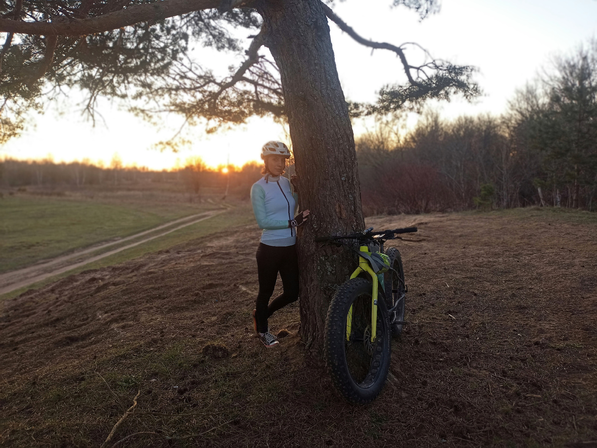 Знакомая сосна и незнакомый закат. Листайте галерею