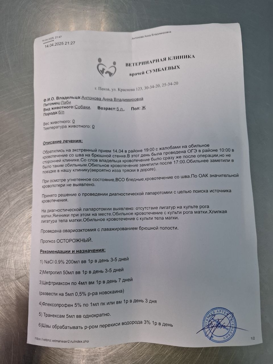 Заключение врача, принимавшего Лаби в экстренном порядке
