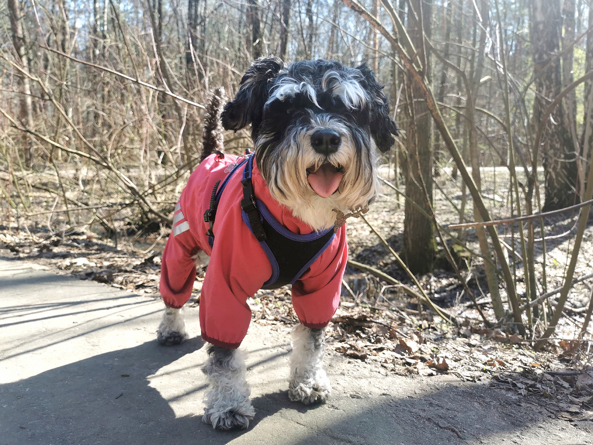 Мой маленький герой