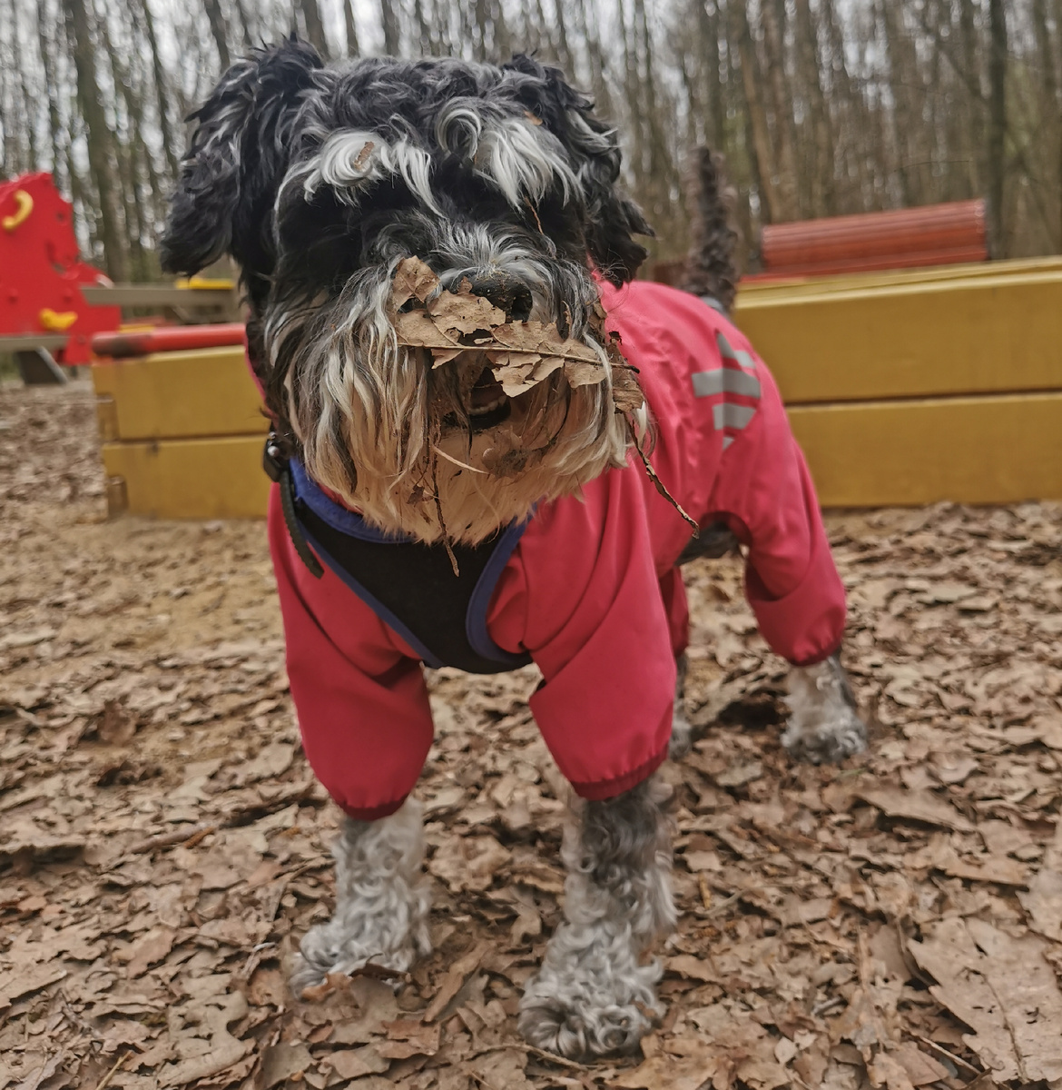 Помогите! Что-то к носику прилипло