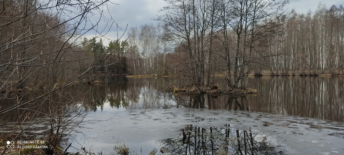 Озеро у дороги