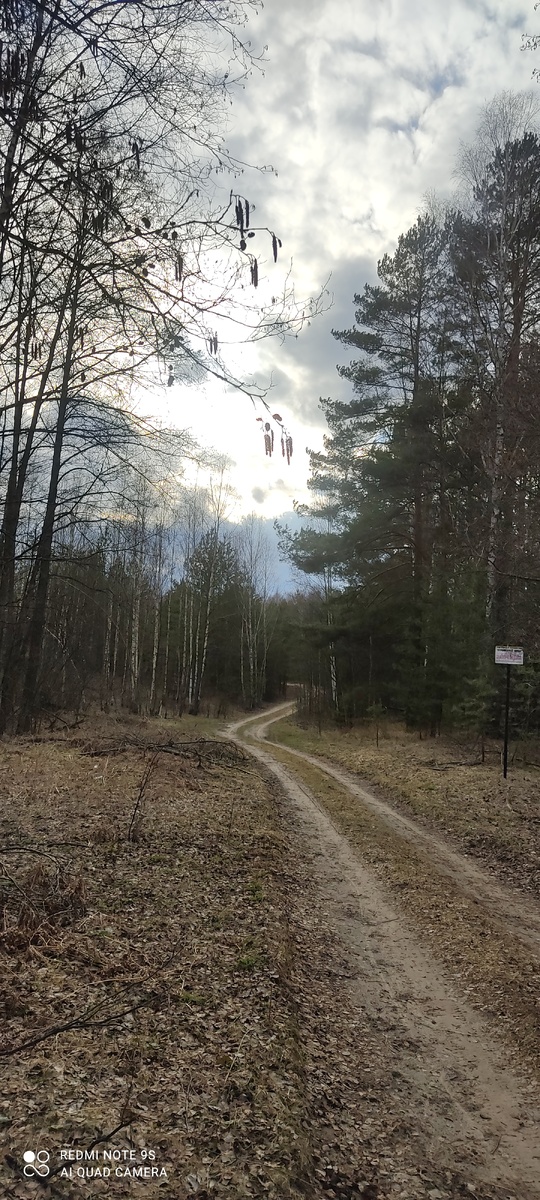 Обожаю дорогу, постоянно фотографирую))