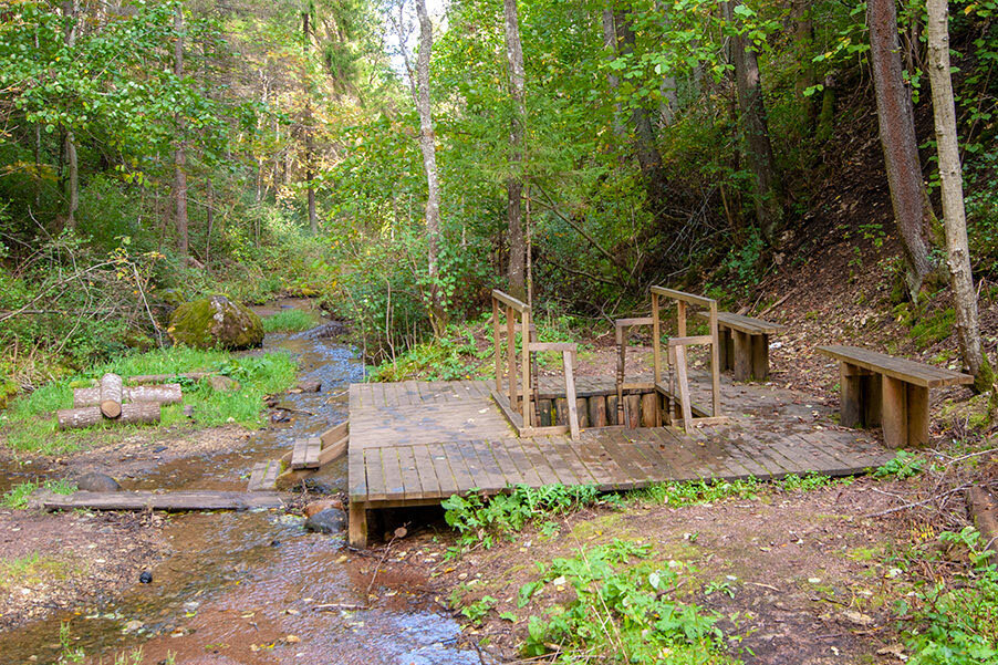 Купальня. Фото с сайта https://yandex.ru/maps/discovery/prirodnyy-attraktsion-6-zagorodnykh-ekotrop/?ll=29.372177%2C59.986264&z=8
