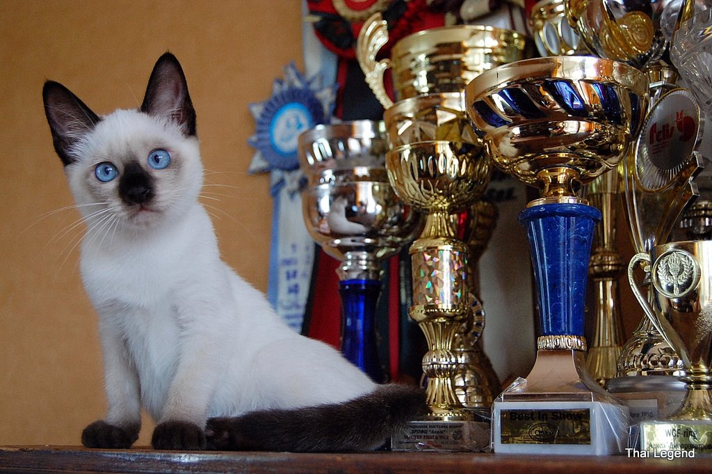 Подумаешь, один глаз в кучку, зато я буду самым любимым