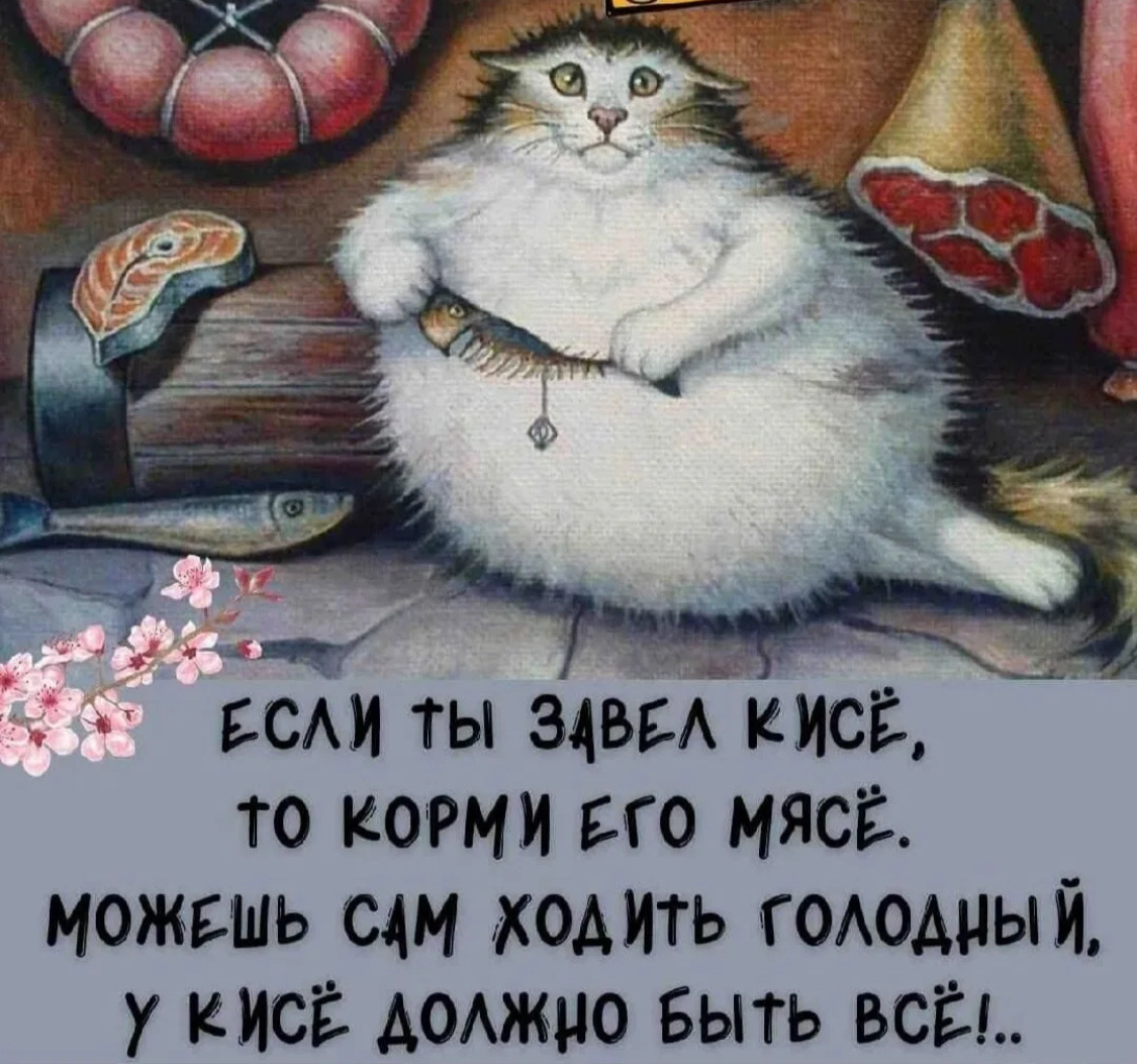 С просторов Пикабу