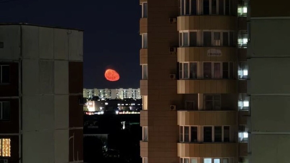    Фото: телеканал «Краснодар»