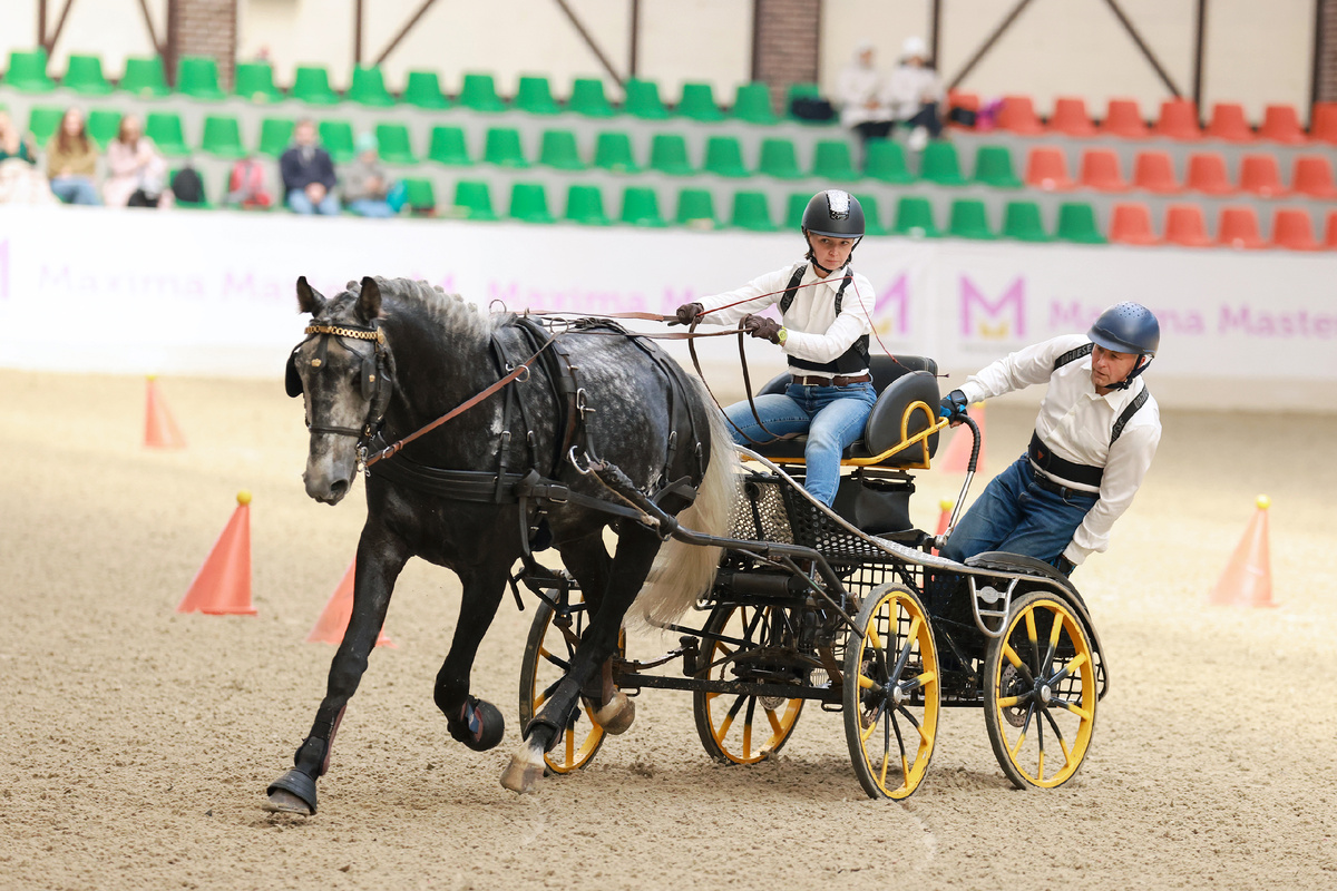 Анна Арсентьева и Лютый Мороз. Фото предоставлены Ассоциацией «Росплемконзавод».