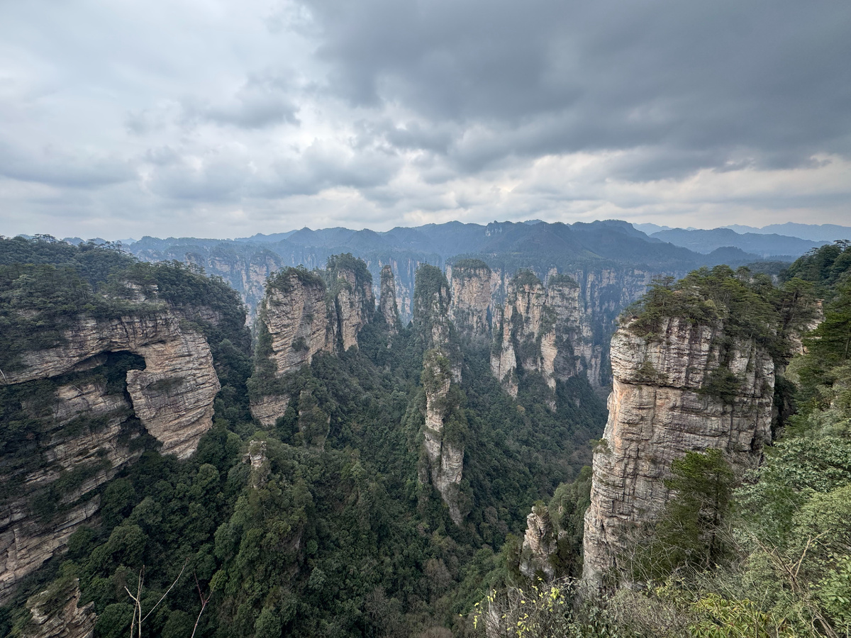 Вид на горы в парке