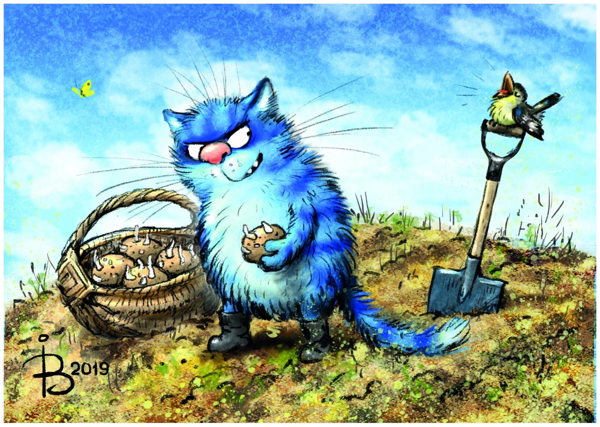 очаровательный котик Рины Зенюк