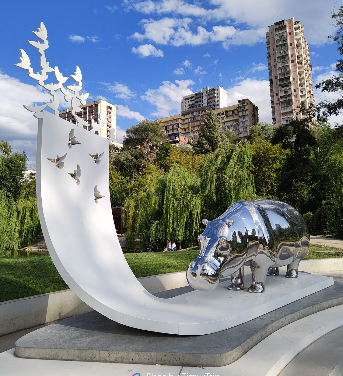 Бегемот из Мзиури парка