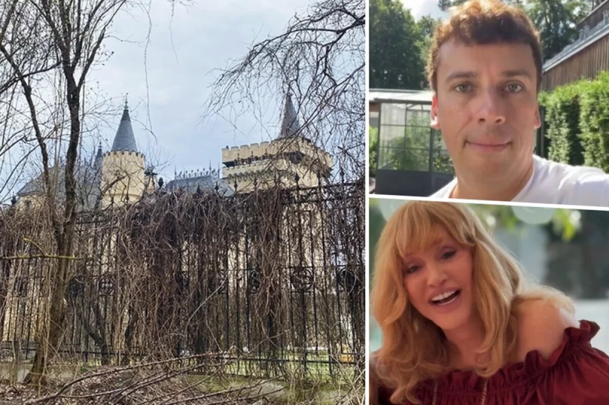    Алла Пугачева, Максим Галкин, замок в деревне Грязь.