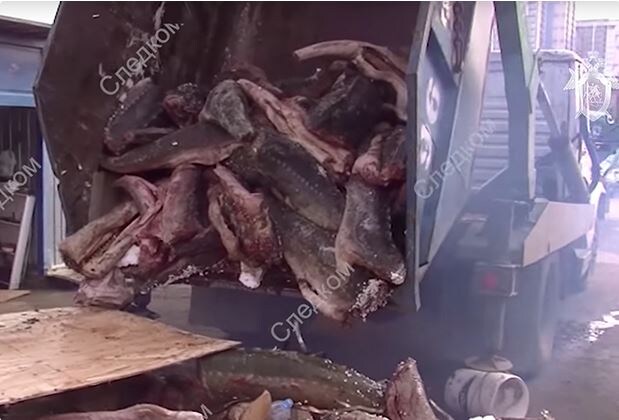 Кадры оперативной съемки