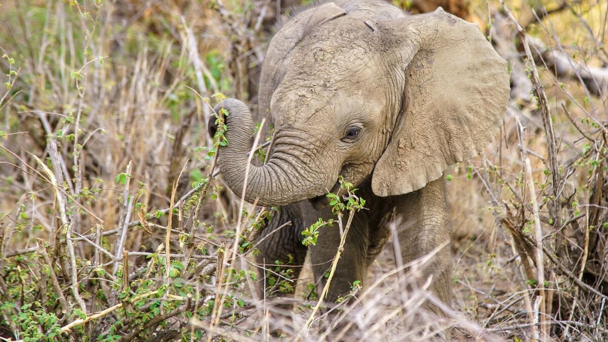     Источник: freepik.com