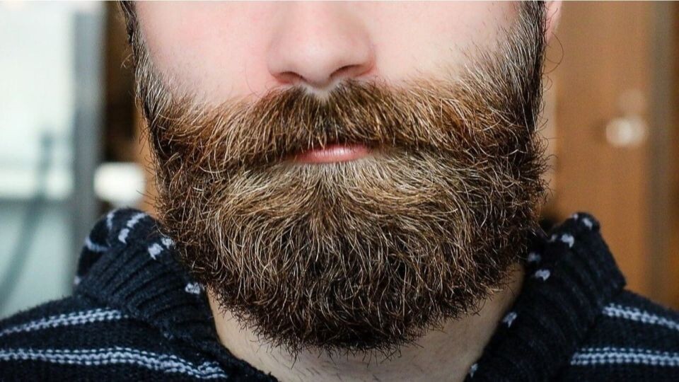    Борода. Источник: pixabay.com