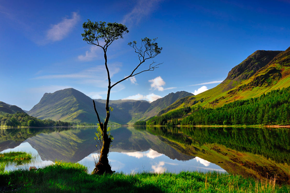Искусство скрывает от глаз ужасающие истины жизни