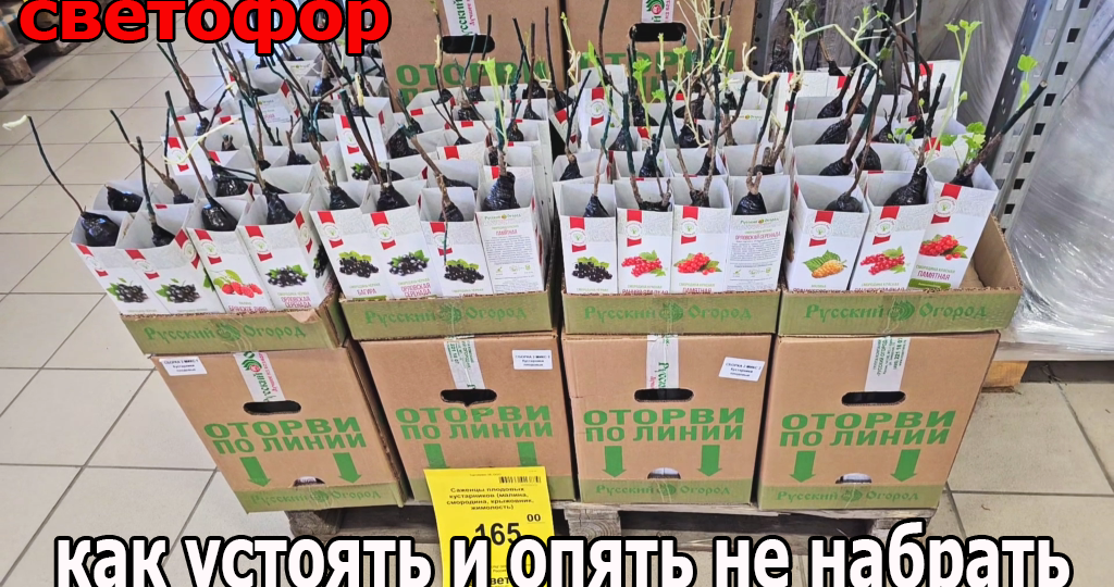 Магазин Светофор ну точно скоро треснет.Опять полный магазин товара.Апрель 2025