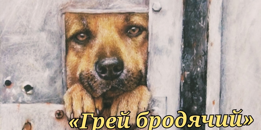 Грей бродячий. Рассказ
