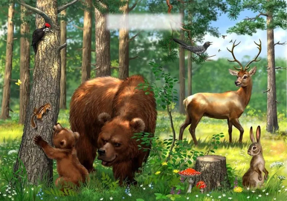 Изображение из открытых источников