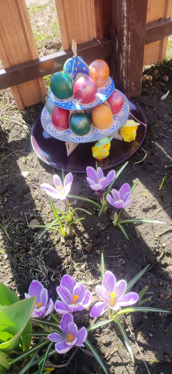 Это 2022 год. И тоже в деревне))