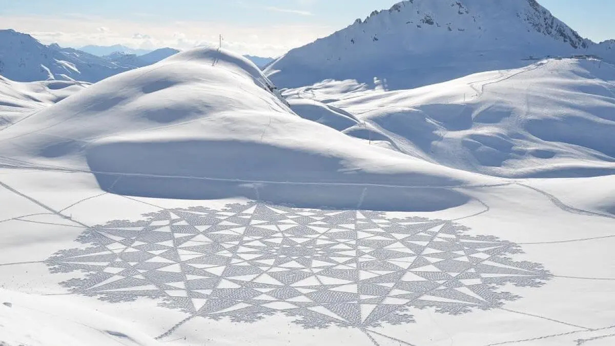 Экологическое искусство (Глобальное, 2000-е – настоящее время)