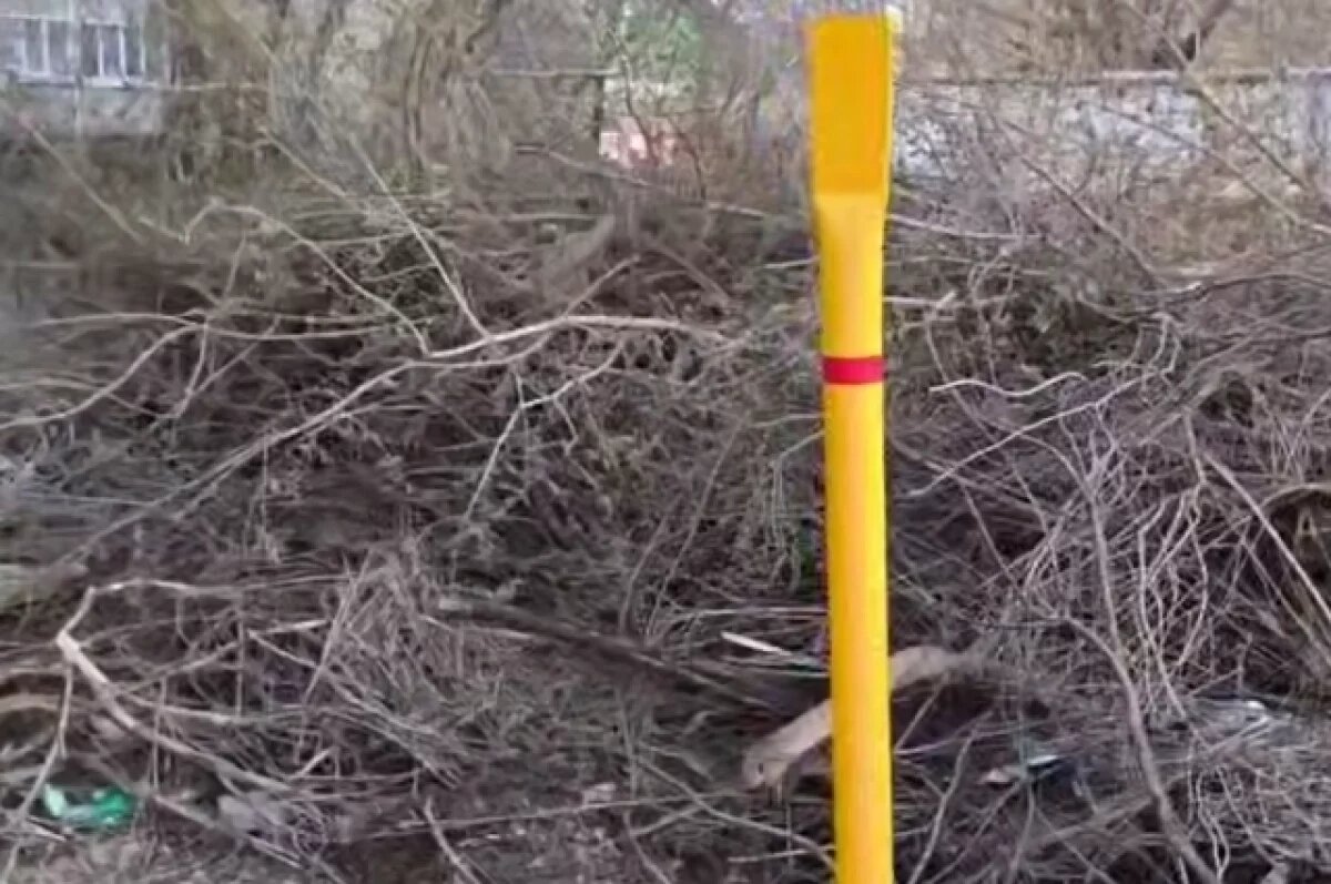    Кувандычане жалуются на коммунальщиков и зоозащитников за мусорный хаос