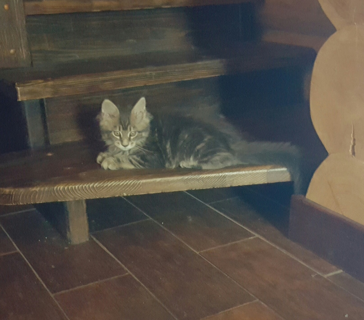 Джина 2 месяца