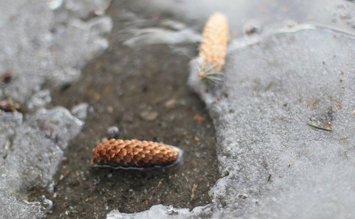 Фото: . amic.ru / Екатерина Смолихина