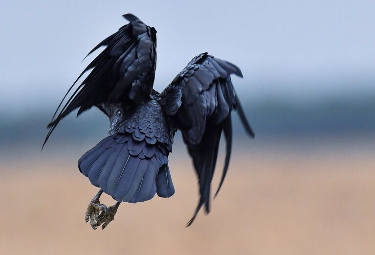 #житьбезмаски #мужскаяпсихология #бытьсобой #осознанность