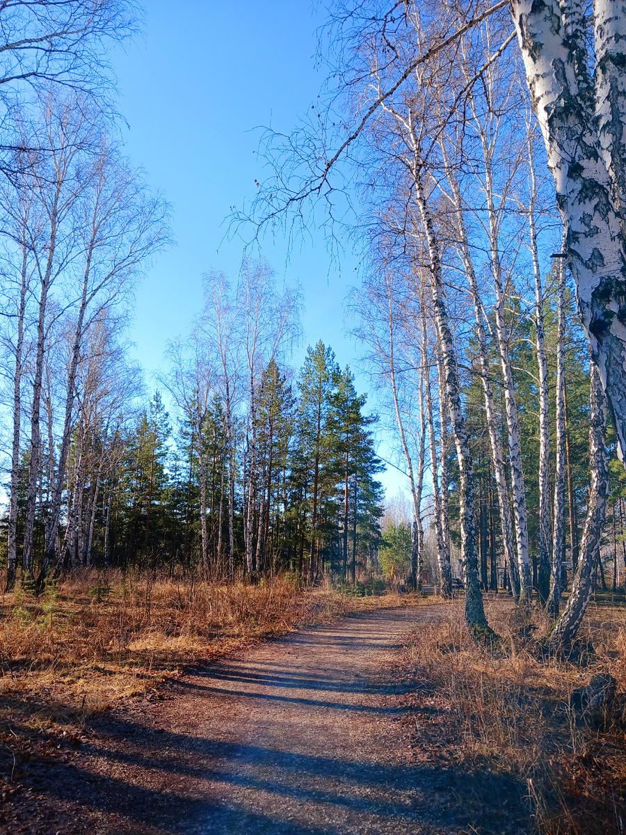 "Доброе утро, мир! Ты прекрасен!" Фото автора