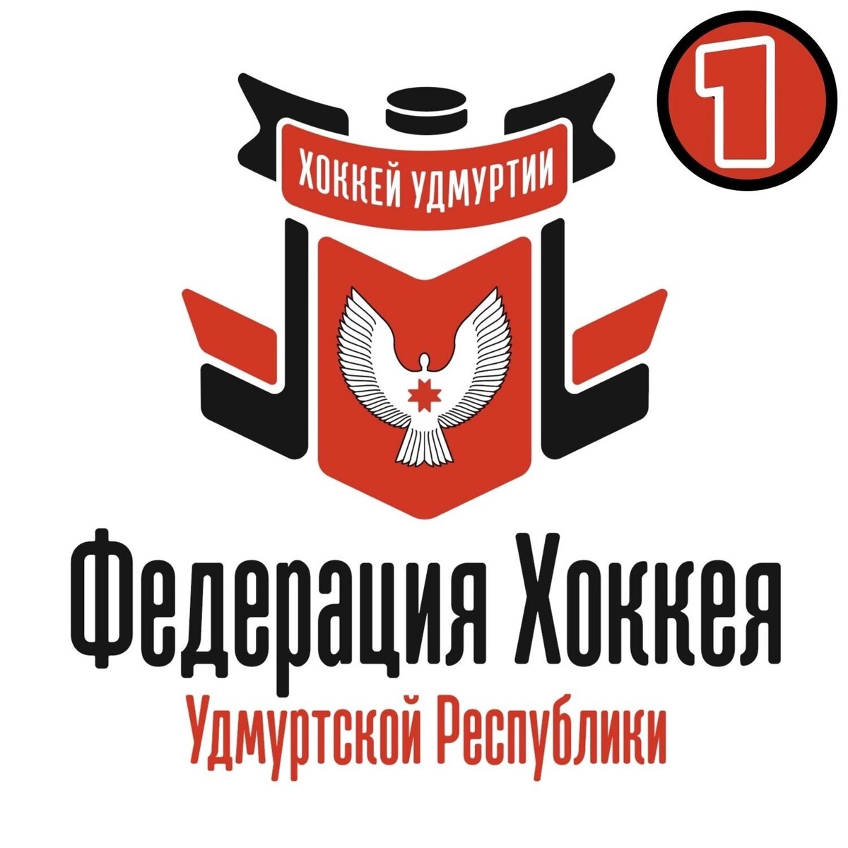     Источник: vk.com/udmhockey18