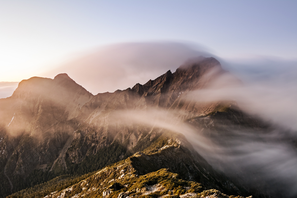     Фото: elwynn/Shutterstock/FOTODOM Термин происходит от латинского favonius, что означает «теплый западный ветер». Так римляне называли ветер, который начинал дуть в конце зимы и был предвестником скорой весны