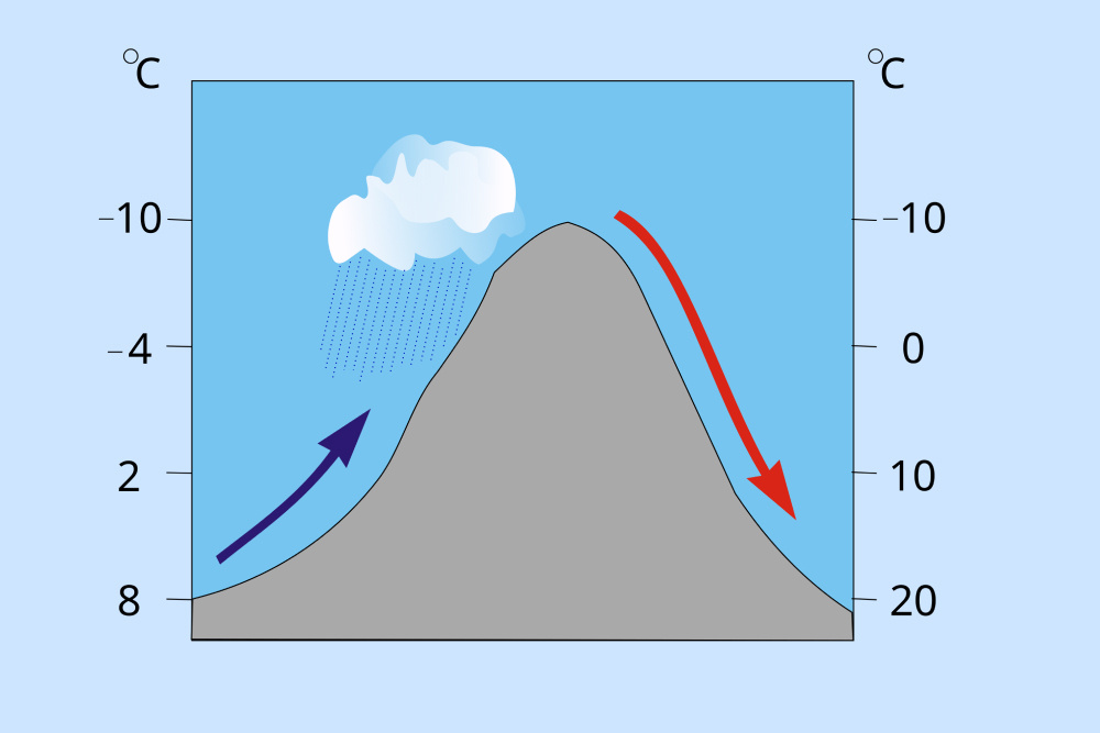     Фото: Wikipedia.org Механизм образования фена