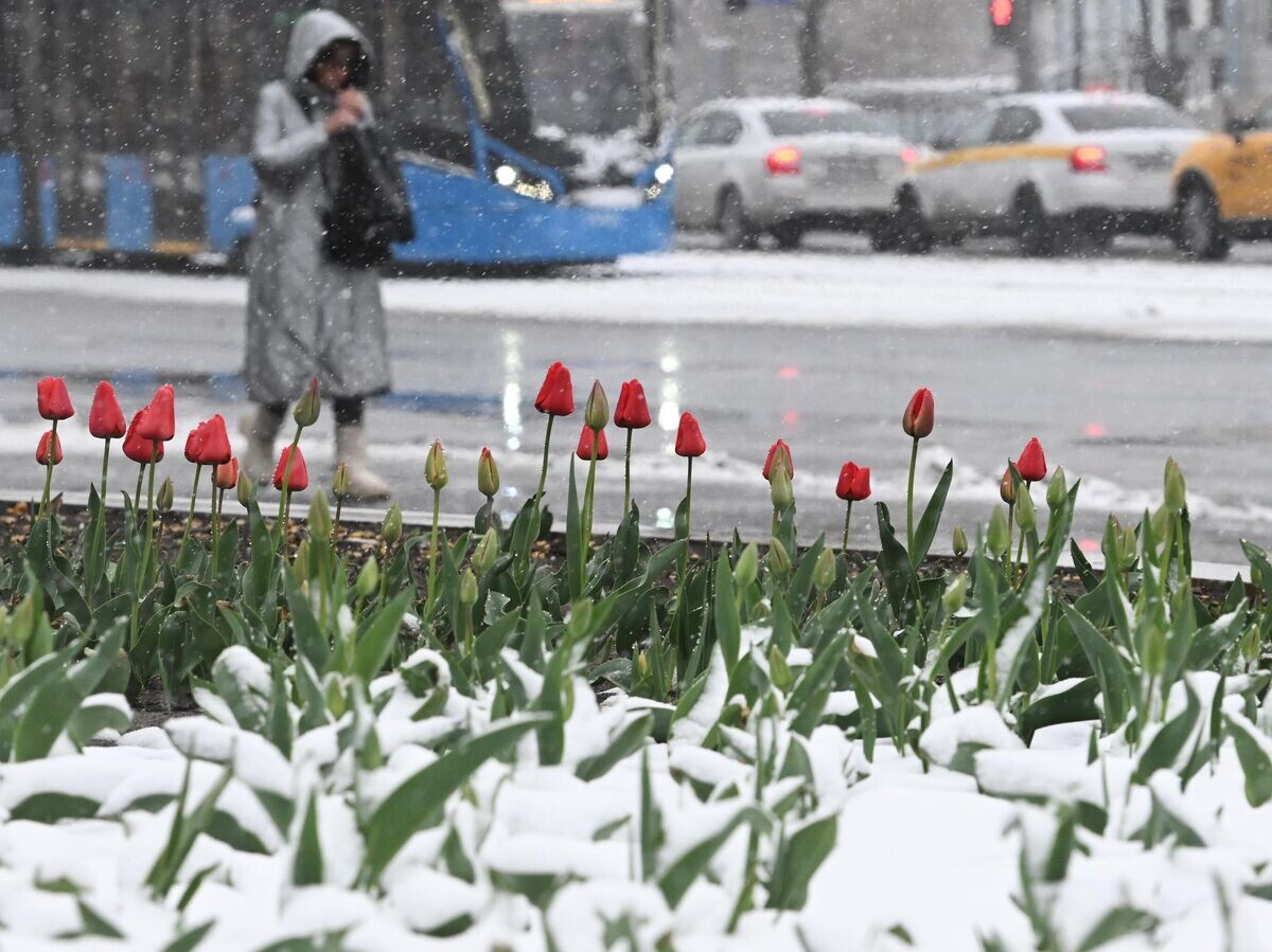    Девушка во время снегопада в Москве© РИА Новости / Михаил Воскресенский