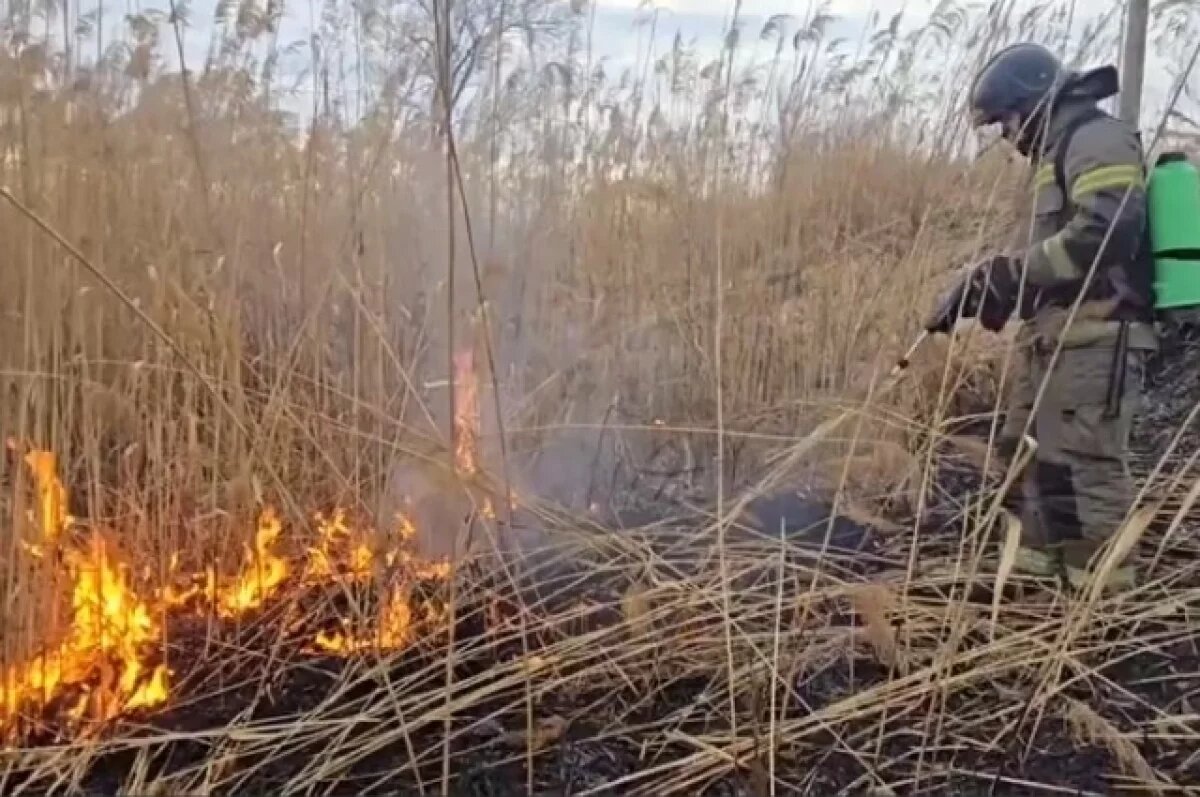    Палы вышли из-под контроля в Хабаровском крае