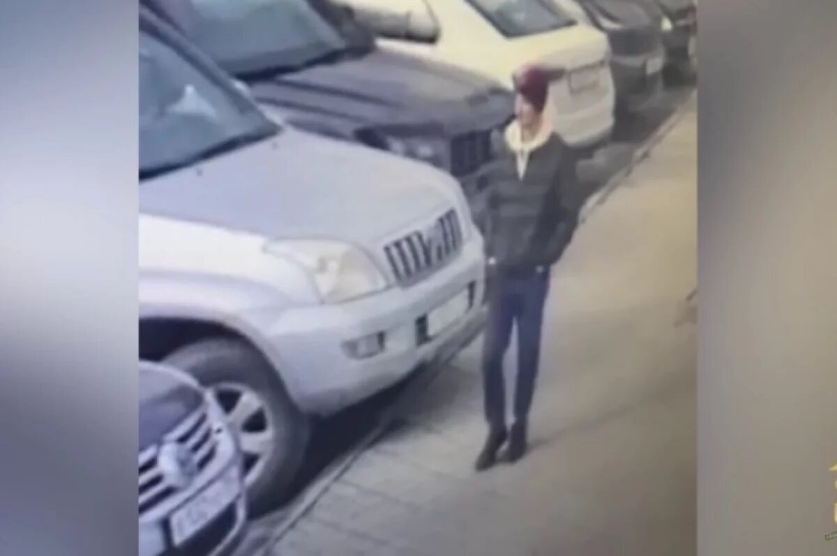    Мужчина ограбил женщину на улице под Новосибирском — забрал 200 тысяч