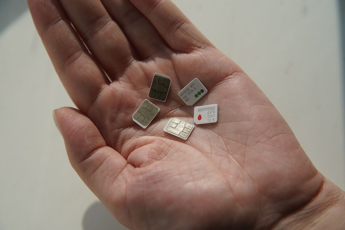     / Источник: © ИЗВЕСТИЯ/Эдуард Корниенко