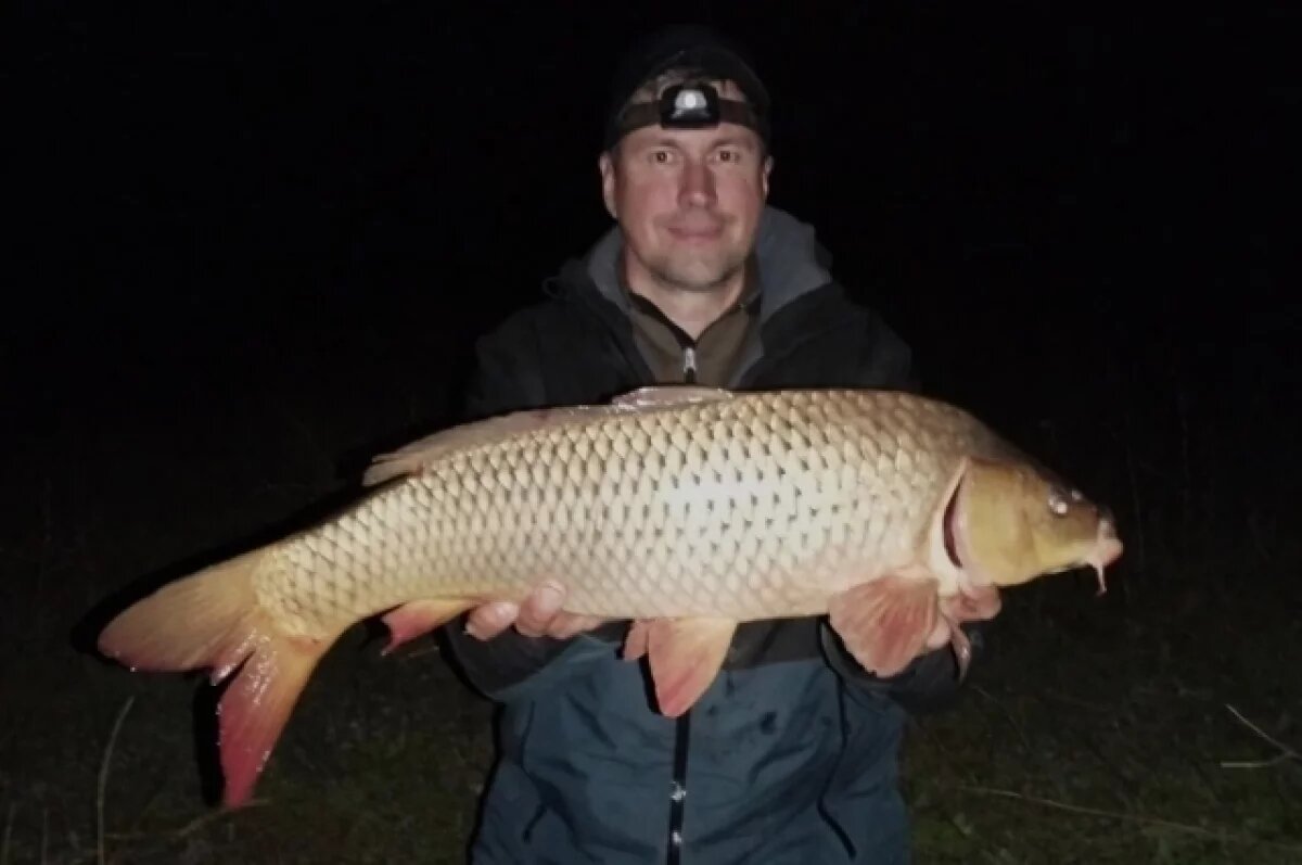    Рыбаки из Ростовской области поделились снимками богатого весеннего улова