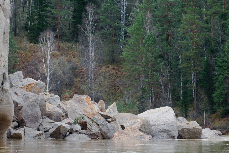    Обрушение скалы в реку Лебедь у с. Турочак. Источник: Андрей Сороко/"Толк"