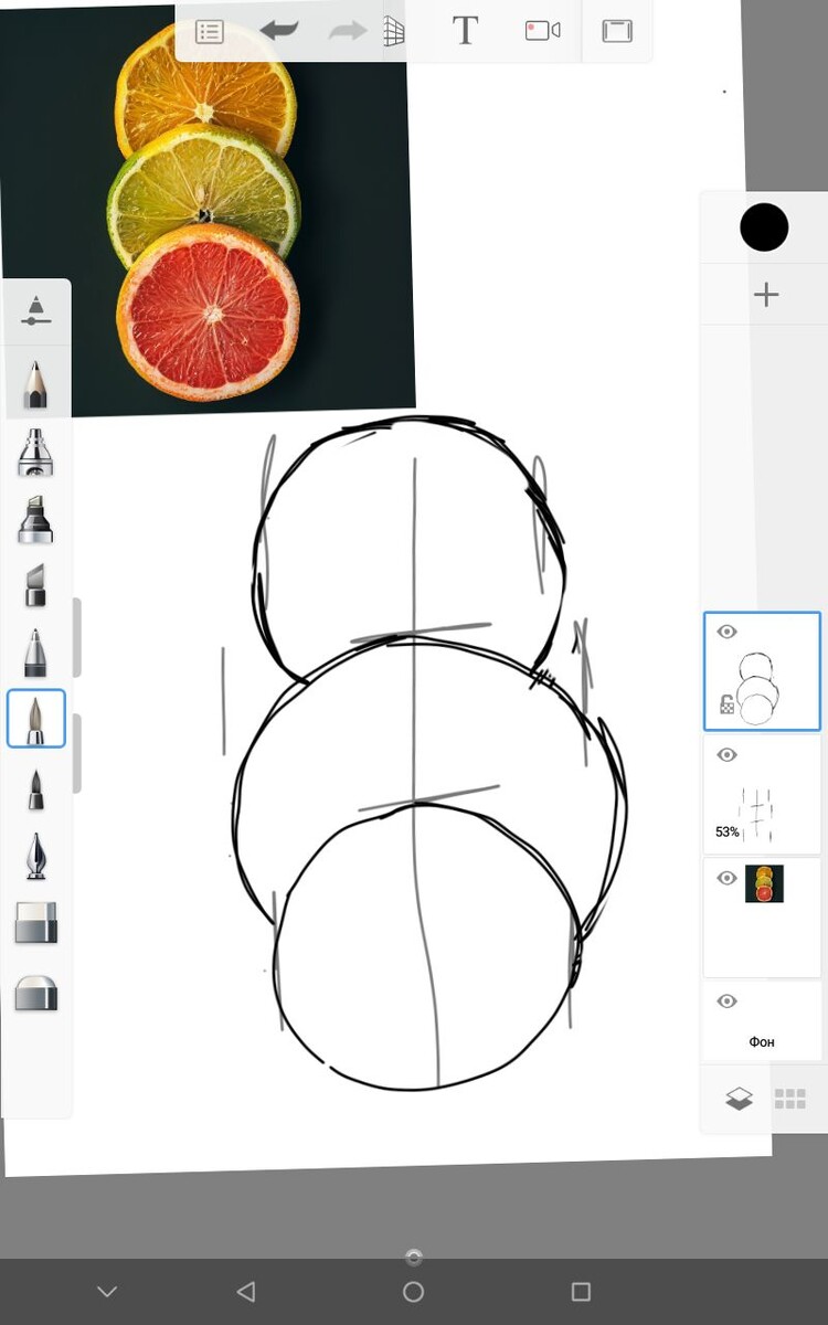 Отмечаем окружности ломтиков. Они не должны быть ровными. Где-то можно спрямить дуги, где-то сделать их более выпуклыми.