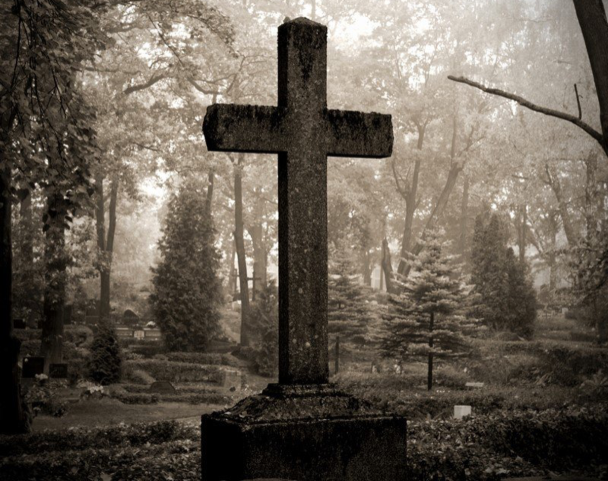 Картинка из интернета 